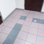 Freshly Mopped