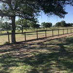 Ranch Style Fence