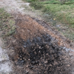 Our work