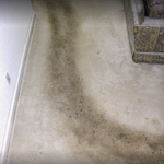 Before Cleaning