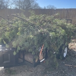 Junk removal