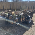 Junk removal