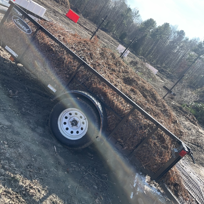 Junk removal