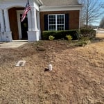 Sewer Line Replacement