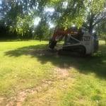 Stump grinding
