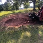 During the stump grinding process