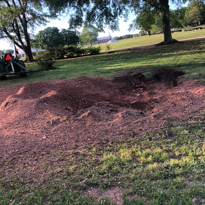 After the stump is ground