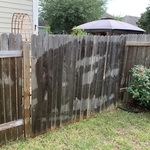 Privacy Fence