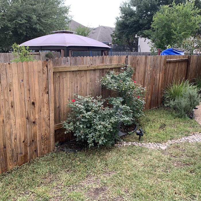 Clean Privacy Fence