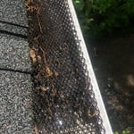 gutter guard dirty before