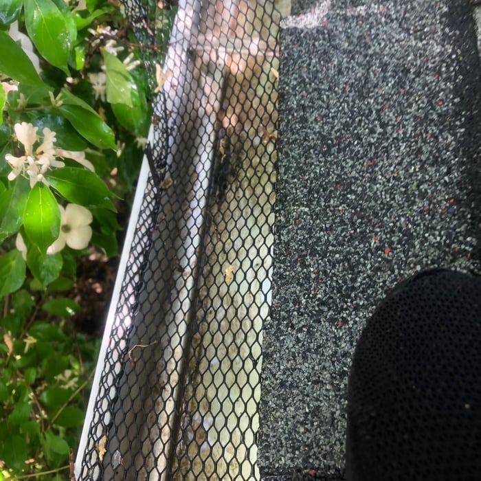 gutters cleaned and guard clean
