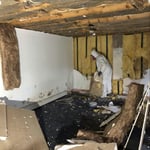 Mold Remediation - Demolition