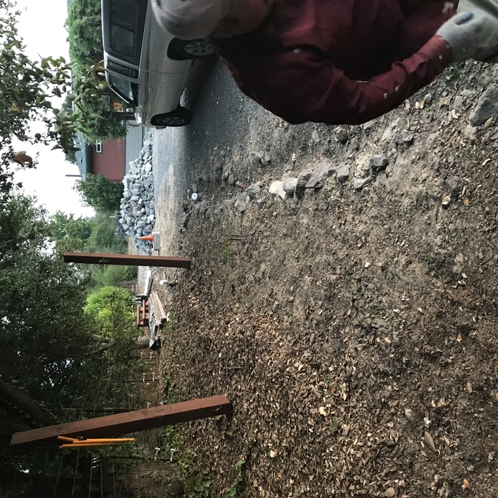 digging old dry creek