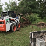 Tree Removal