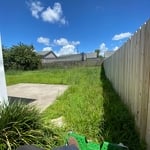 Before Backyard Was Cut
