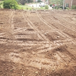 After grading and harley rake