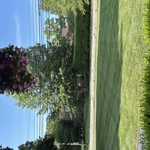 Lawn