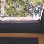 Fascia