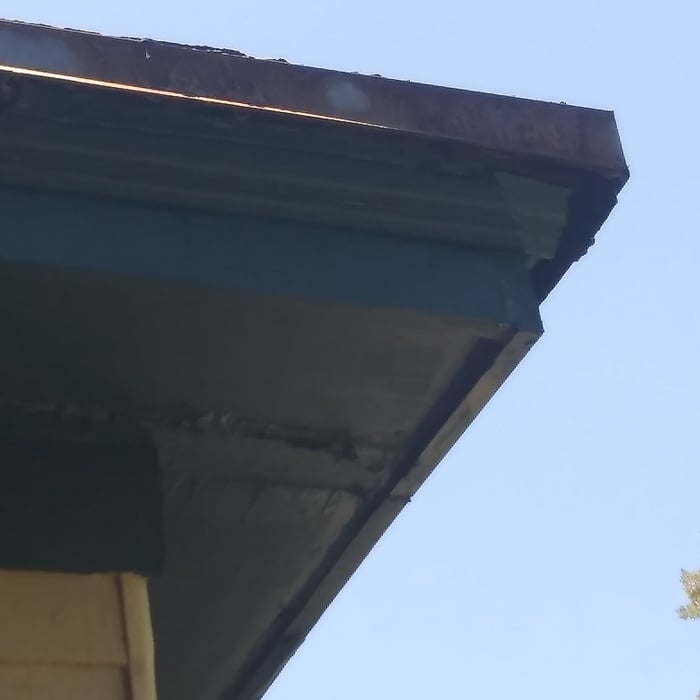 Fascia