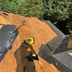 Mold Repair & Re-Roof