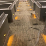 Commercial Flooring