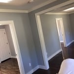 Remodel/Painting