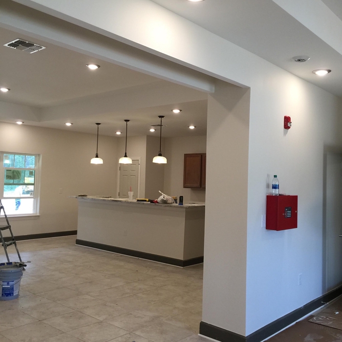 Remodel/Painting