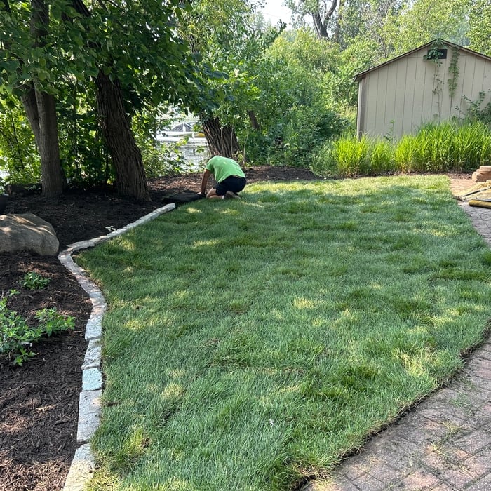 Sod installation