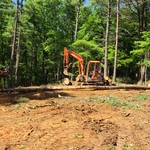 Land clearing