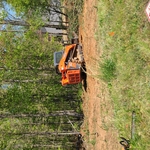 Land clearing