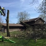 Tree Removal
