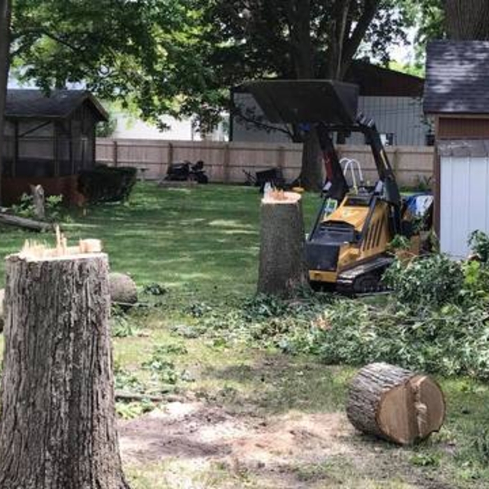 Tree Removal