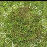 PATCHED LAWN WHERE SPRINKLER HEAD REPAIR WAS DONE