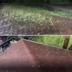 Roof cleaning
