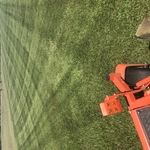 Lawn Care