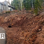 After Slash & Stump Removal
