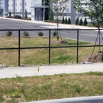 guard rail