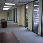 Our Work