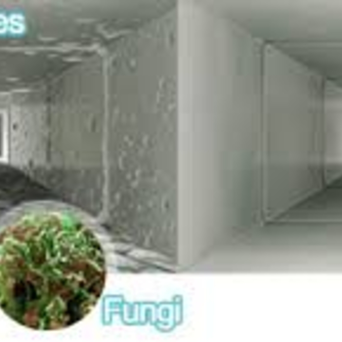 whats coming out of your vents