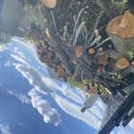 Load of Logs