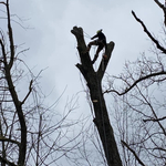 Big Dead Ash