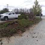 Maintenance and Mulch