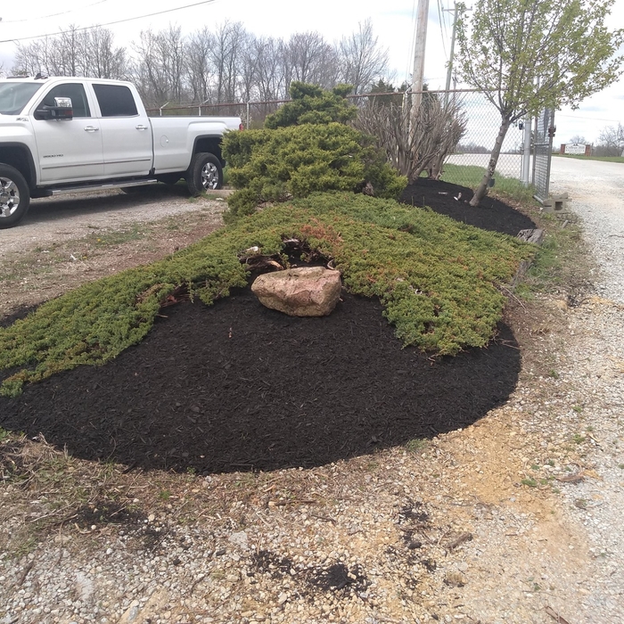 Maintenance and Mulch