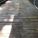 Deck Cleaning