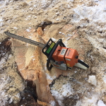 The stump