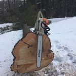 Just after cutting