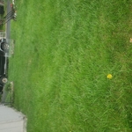 Lawn Mowing