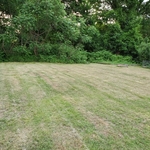 Lawn Mowing