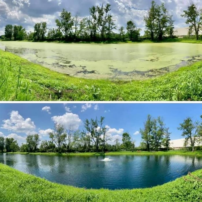 Complete Pond Treatment