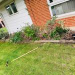 Lawn Care